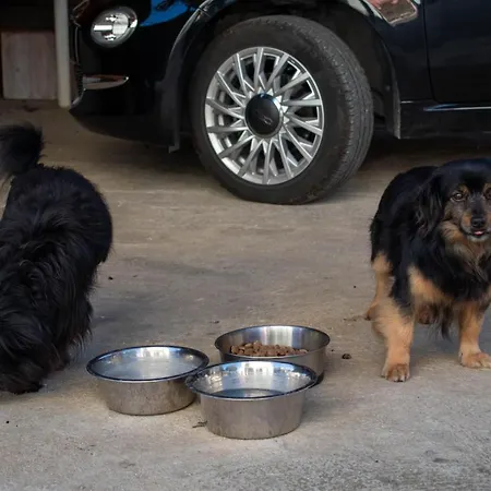 Appartement Lacasaceleste